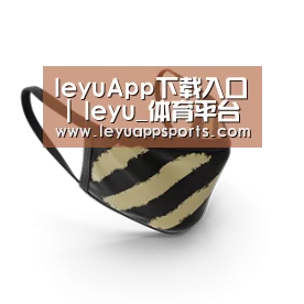 成人布口罩