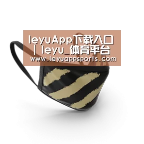 成人布口罩