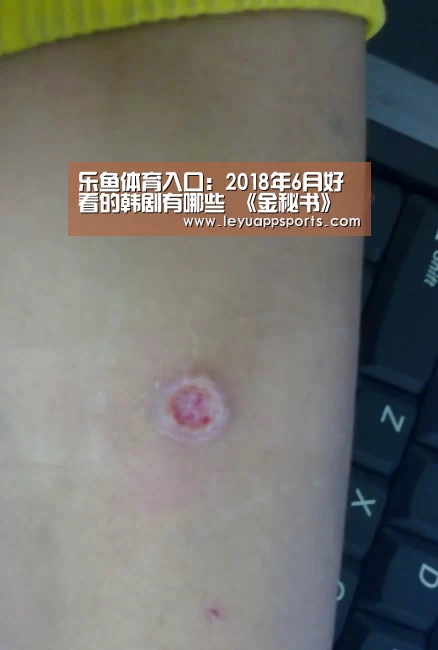乐鱼体育入口：2018年6月好看的韩剧有哪些 《金秘书》《汉谟拉比》获好评