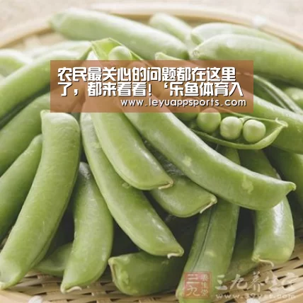农民最关心的问题都在这里了,都来看看!‘乐鱼体育入口’(图3) 乐鱼体育