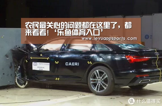 农民最关心的问题都在这里了,都来看看!‘乐鱼体育入口’(图2) 乐鱼体育入口