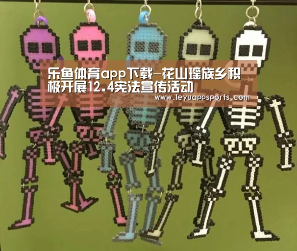 乐鱼体育app下载-花山瑶族乡积极开展12.4宪法宣传活动(图1) 乐鱼体育入口