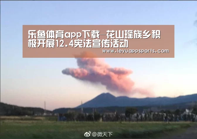乐鱼体育app下载-花山瑶族乡积极开展12.4宪法宣传活动(图3) 乐鱼体育