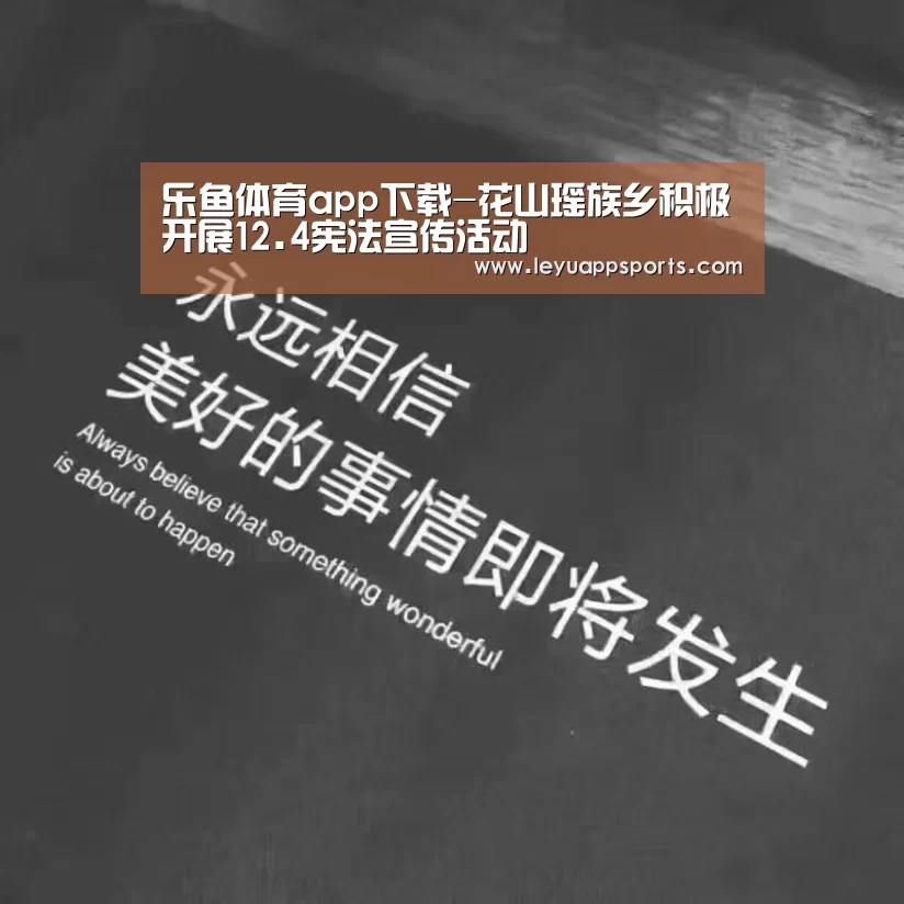 乐鱼体育app下载-花山瑶族乡积极开展12.4宪法宣传活动(图2) 乐鱼体育入口