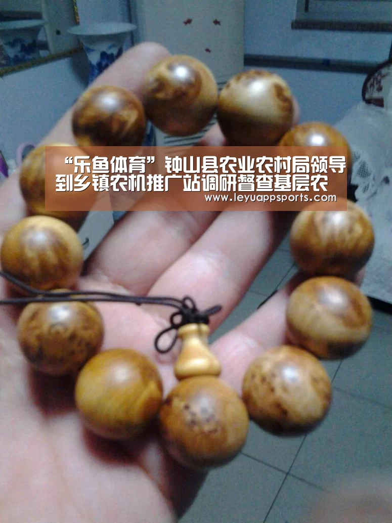 乐鱼体育