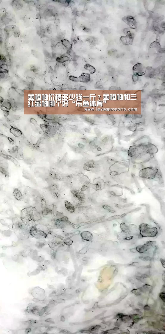 乐鱼体育入口