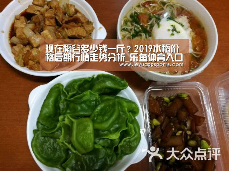 乐鱼体育入口