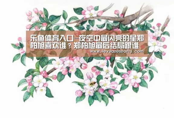 乐鱼体育入口-夜空中最闪亮的星郑柏旭喜欢谁?郑柏旭最后结局跟谁一起(图1) 乐鱼体育app
