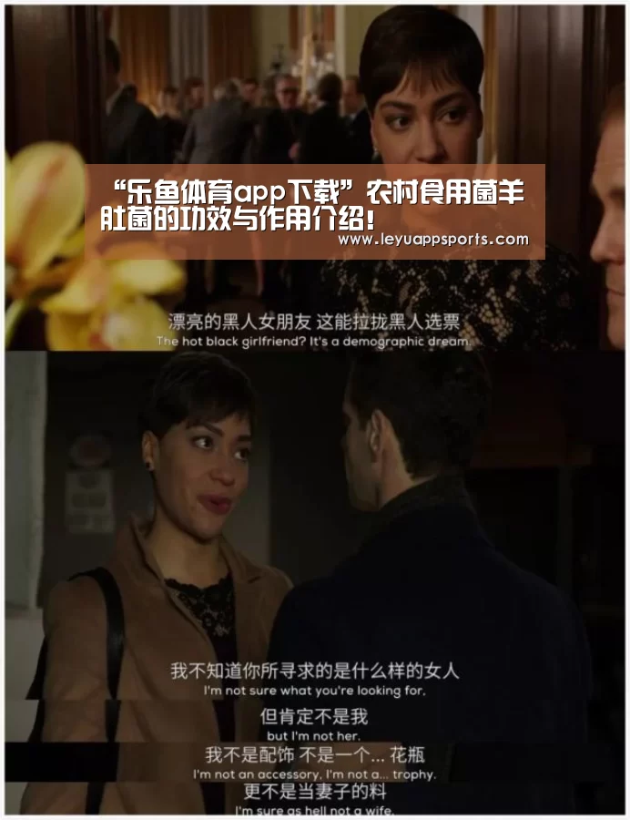 乐鱼体育app下载