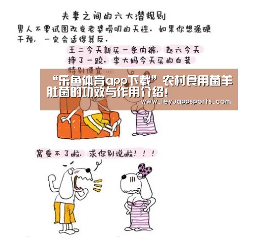 乐鱼体育app