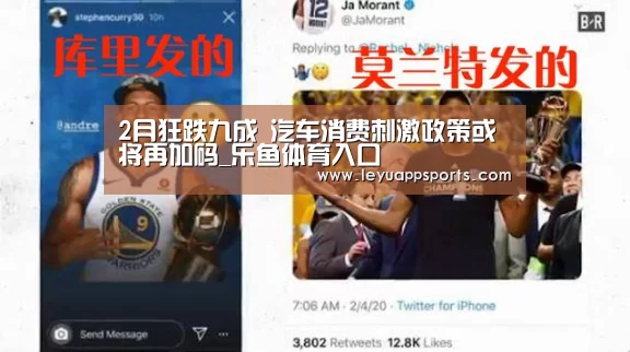 2月狂跌九成 汽车消费刺激政策或将再加码_乐鱼体育入口(图1) 乐鱼体育入口
