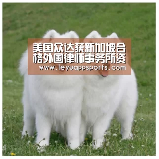 美国众达获新加坡合格外国律师事务所资格:乐鱼体育app下载(图2) 乐鱼体育app