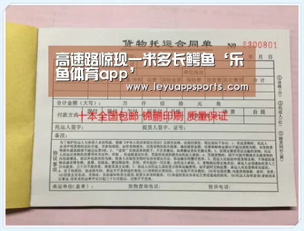 乐鱼体育app下载