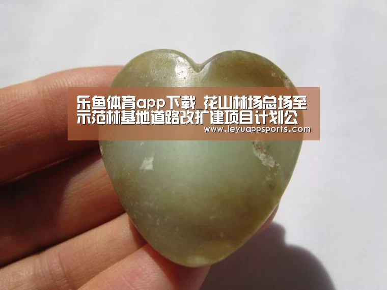 乐鱼体育app下载_花山林场总场至示范林基地道路改扩建项目计划公告(图2) 乐鱼体育入口