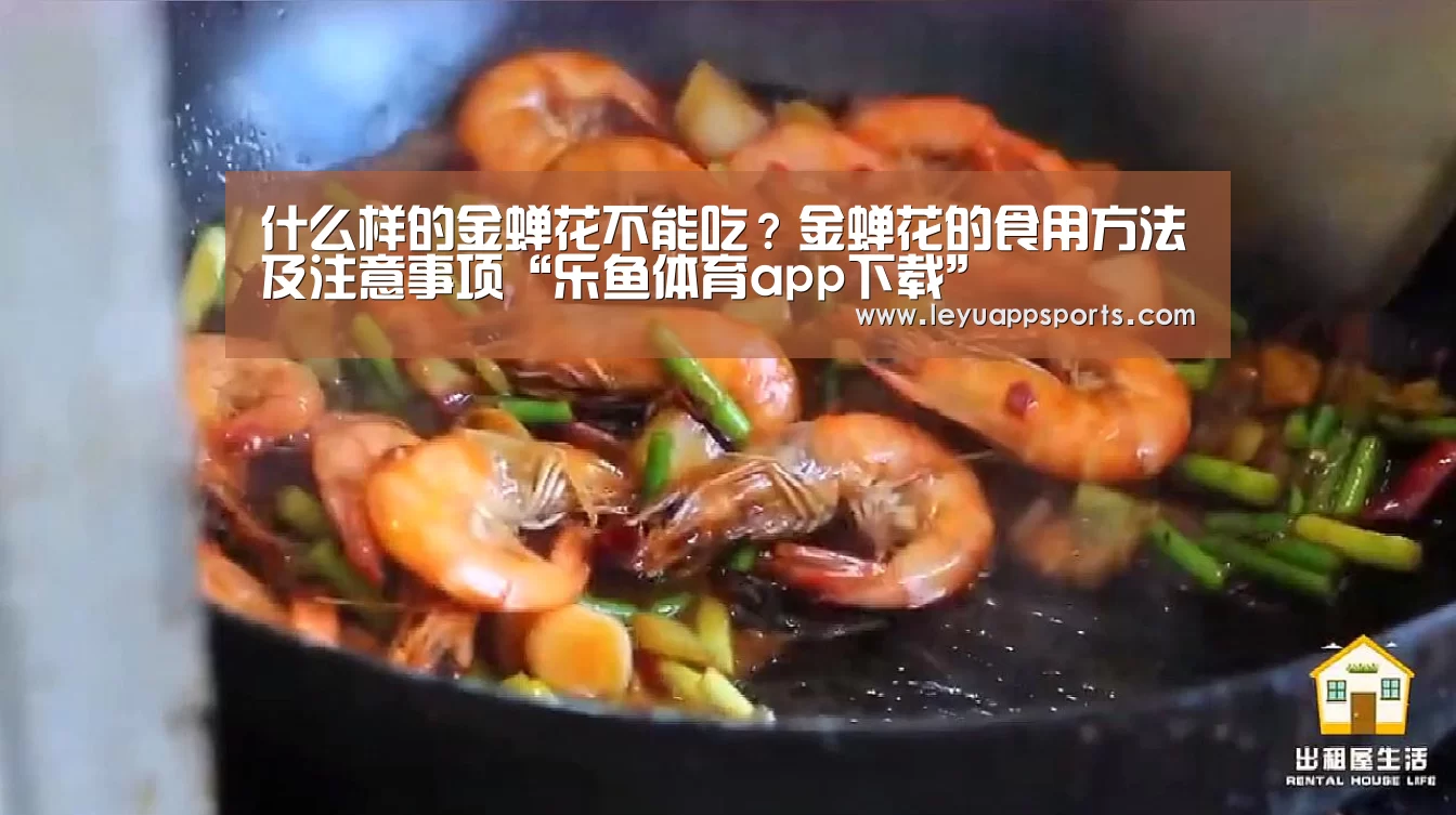 乐鱼体育app下载