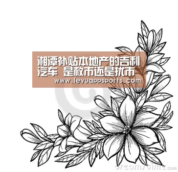 湘潭补贴本地产的吉利汽车 是救市还是扰市?-乐鱼体育app下载(图1) 乐鱼体育app