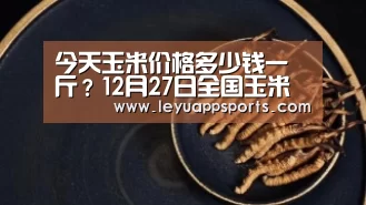 今天玉米价格多少钱一斤?12月27日全国玉米价格最新行情预测|乐鱼体育(图2) 乐鱼体育app