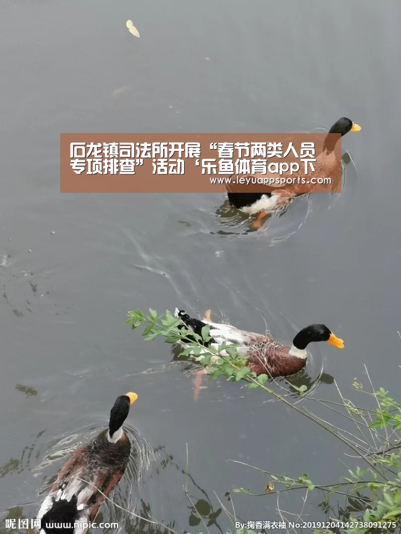 乐鱼体育app下载