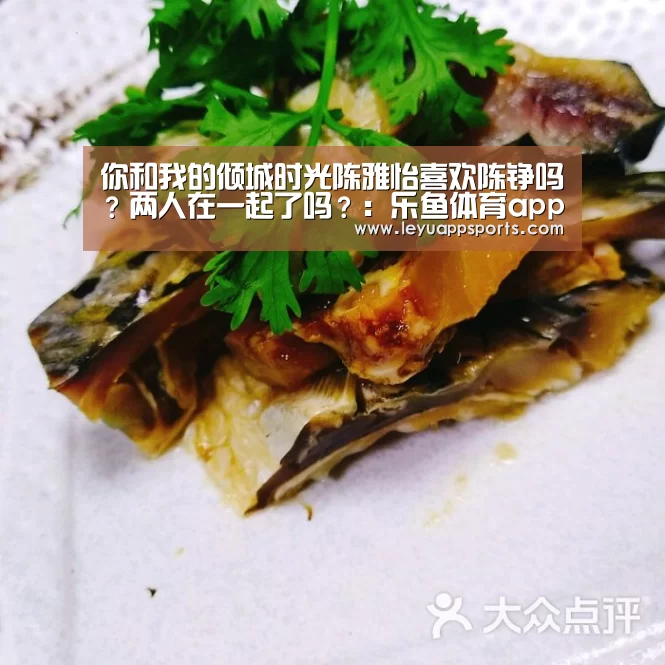你和我的倾城时光陈雅怡喜欢陈铮吗?两人在一起了吗?:乐鱼体育app(图1) 乐鱼体育