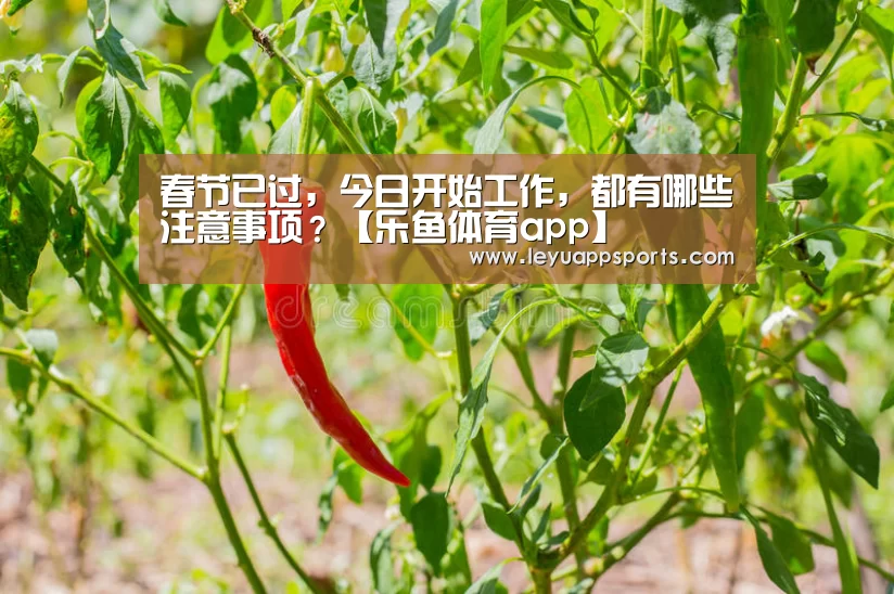 春节已过,今日开始工作,都有哪些注意事项?【乐鱼体育app】(图2) 乐鱼体育入口