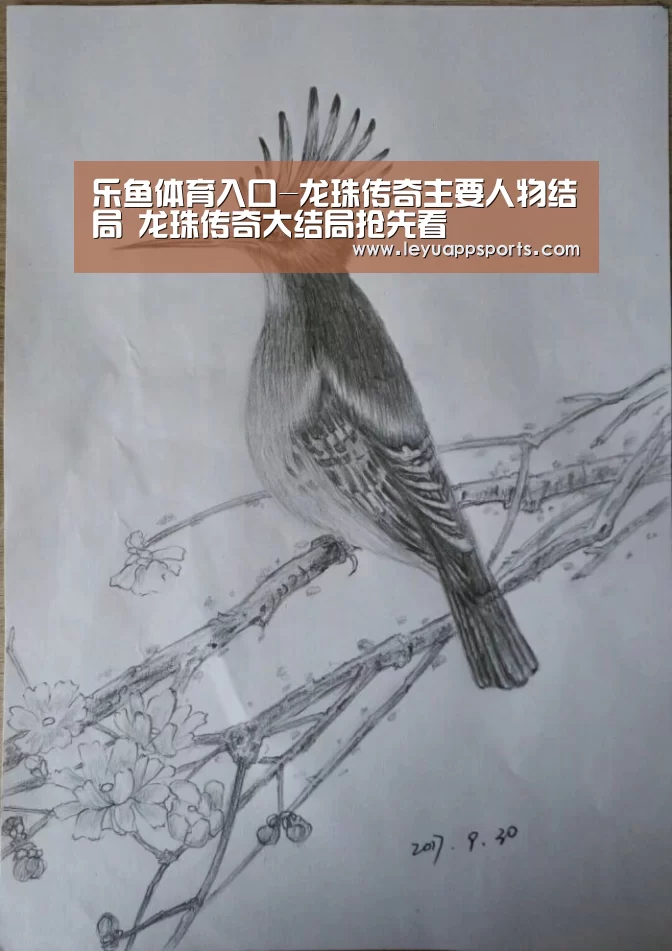 乐鱼体育入口-龙珠传奇主要人物结局 龙珠传奇大结局抢先看(图4) 乐鱼体育app