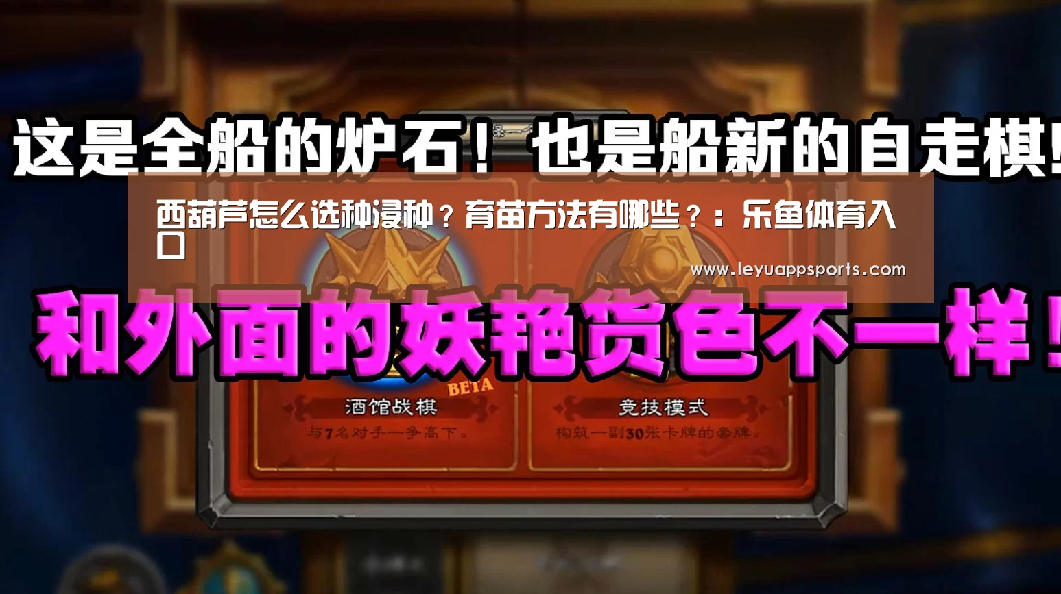 西葫芦怎么选种浸种?育苗方法有哪些?:乐鱼体育入口(图1) 乐鱼体育app