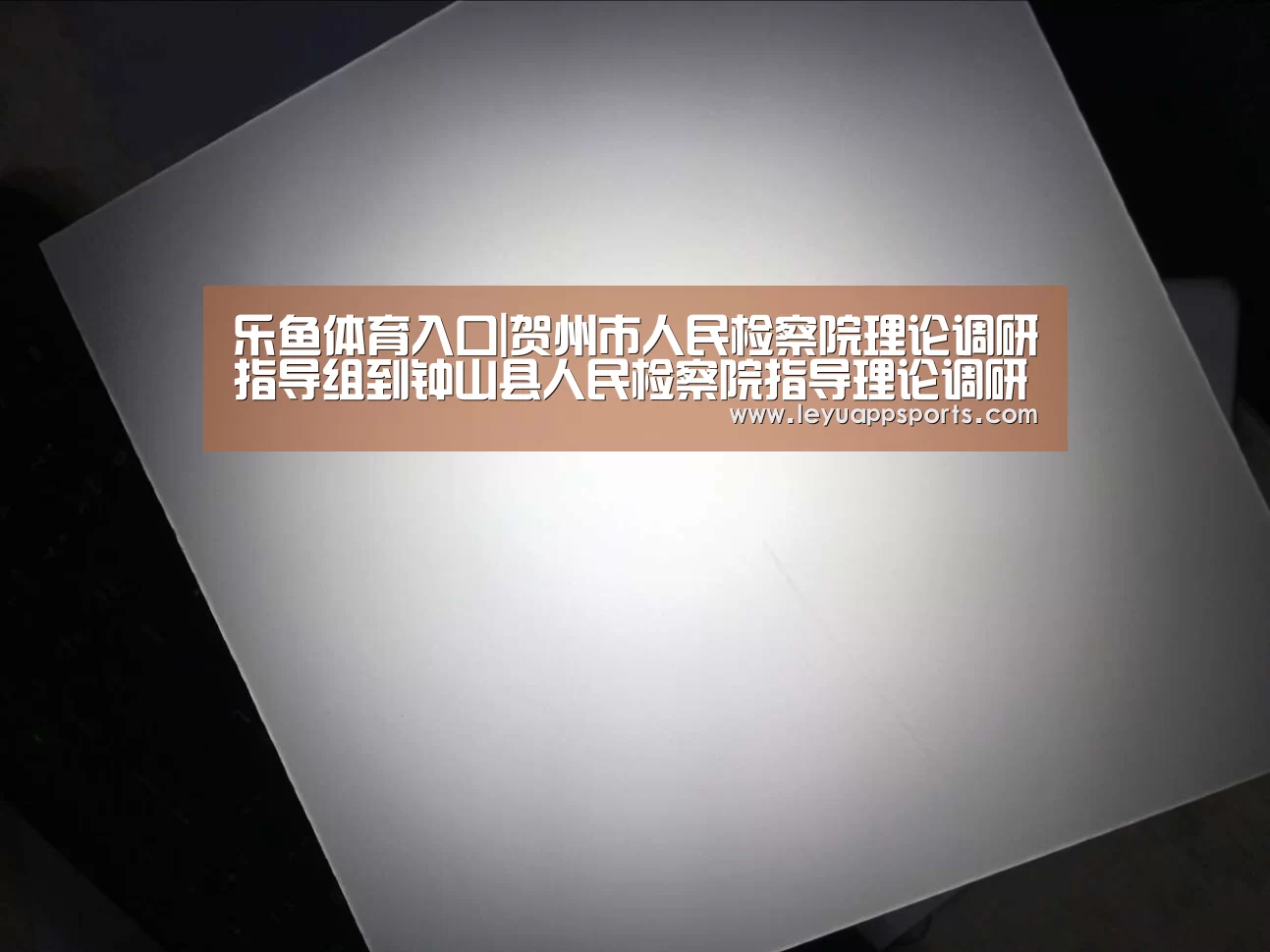 乐鱼体育入口|贺州市人民检察院理论调研指导组到钟山县人民检察院指导理论调研工作(图2) 乐鱼体育app
