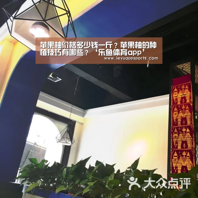 乐鱼体育app下载