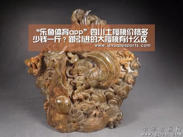 “乐鱼体育app”四川土樱桃价格多少钱一斤?跟引进的大樱桃有什么区别(图1) 乐鱼体育