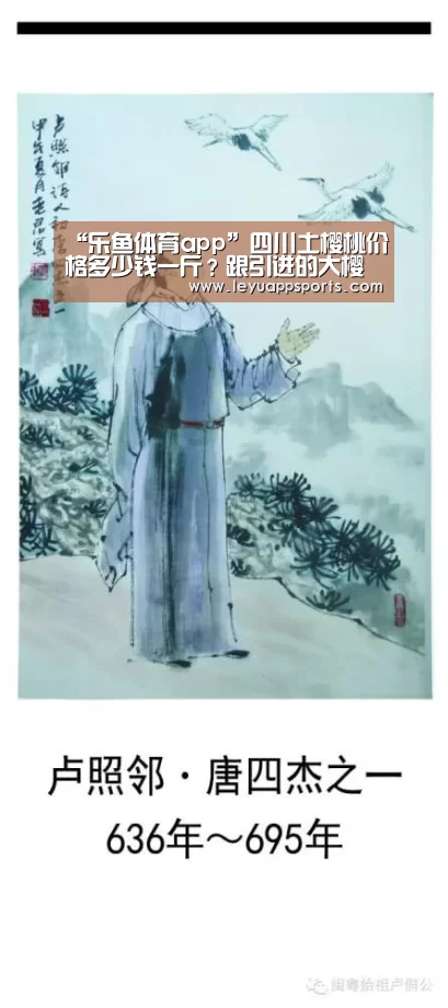 “乐鱼体育app”四川土樱桃价格多少钱一斤?跟引进的大樱桃有什么区别(图2) 乐鱼体育