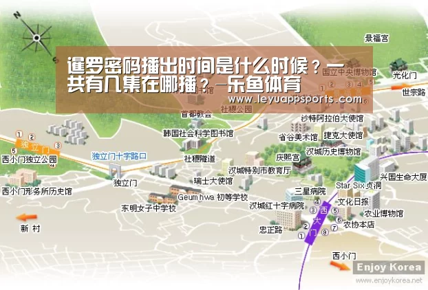 暹罗密码播出时间是什么时候?一共有几集在哪播?-乐鱼体育(图4) 乐鱼体育app下载