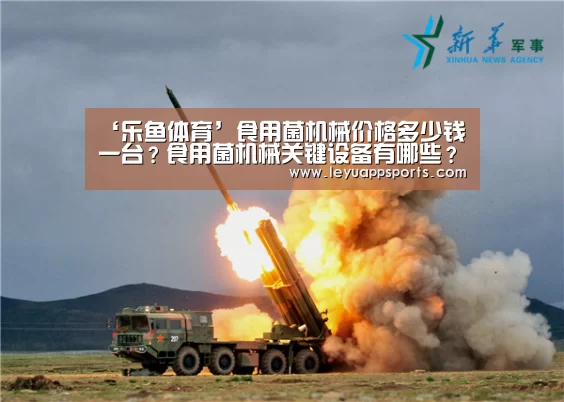 乐鱼体育app下载