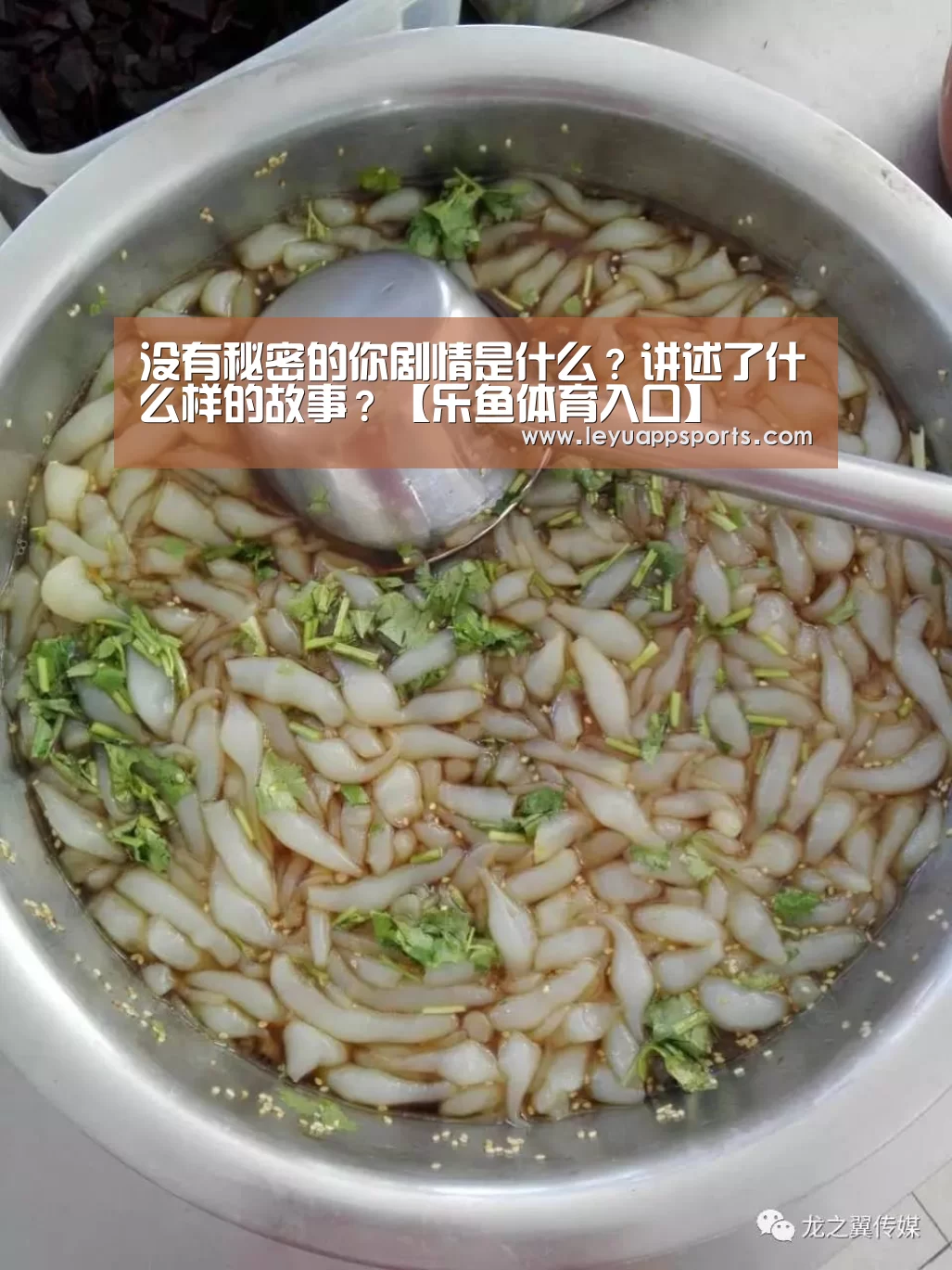 没有秘密的你剧情是什么?讲述了什么样的故事?【乐鱼体育入口】(图1) 乐鱼体育入口