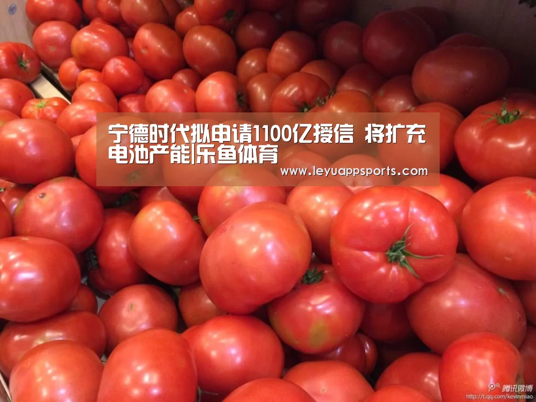 乐鱼体育app下载